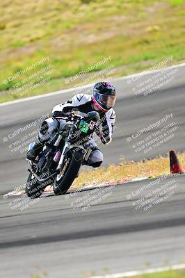 media/Apr-13-2024-Classic Track Day (Sat) [[9dd147332a]]/Group 3/Session 3 (Turn 3)/